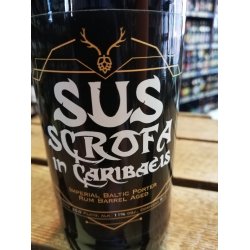 Łąkomin Sus Scrofa In Caribaeis
